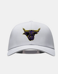 Minnesota State Birdie 2.0 Light Grey
