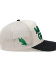 North Texas Mean Green Hat