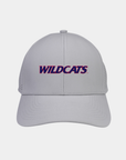 University of Arizona Birdie 2.0 Light Grey