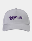 Weber State University Eagle Light Grey Hat