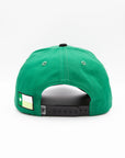 North Texas Green &n Black Cord Brim Fade Hat