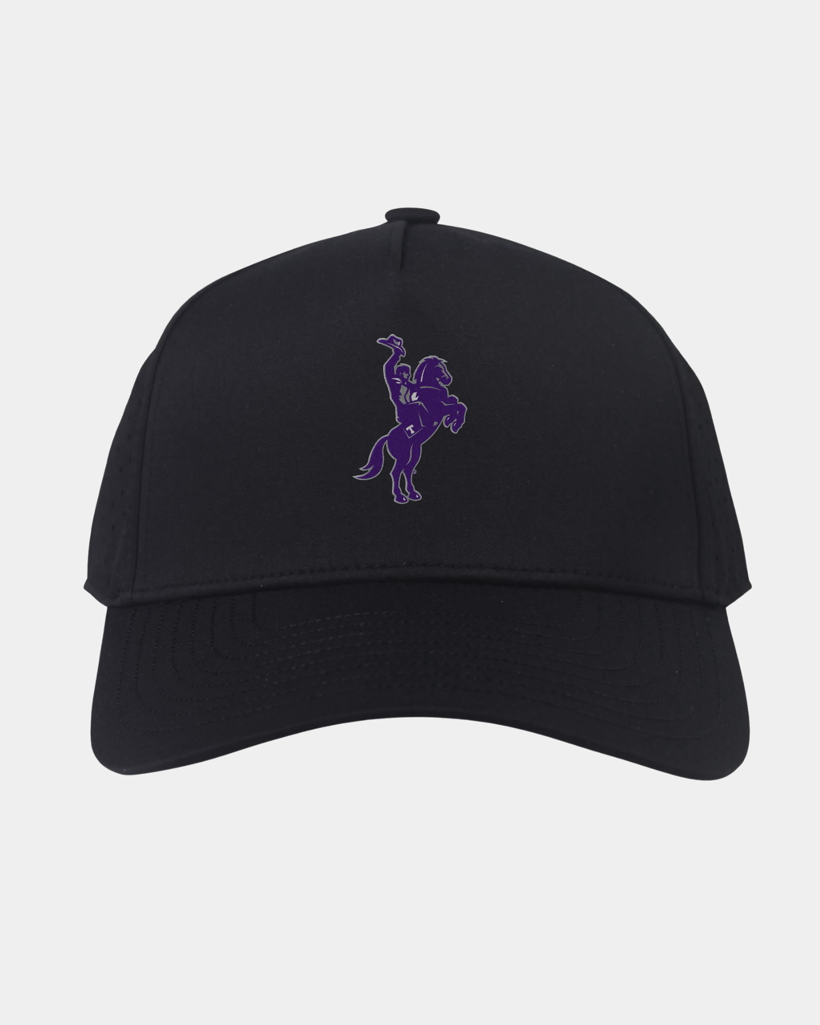 Tarleton State University Eagle Black Hat