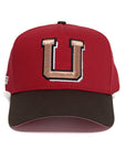 Woodn Grail UofU Bronze U