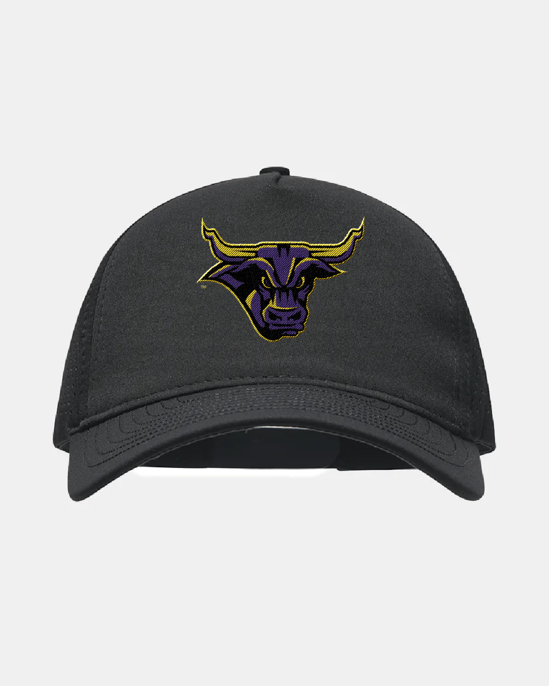 Minnesota State Eagle Black Hat