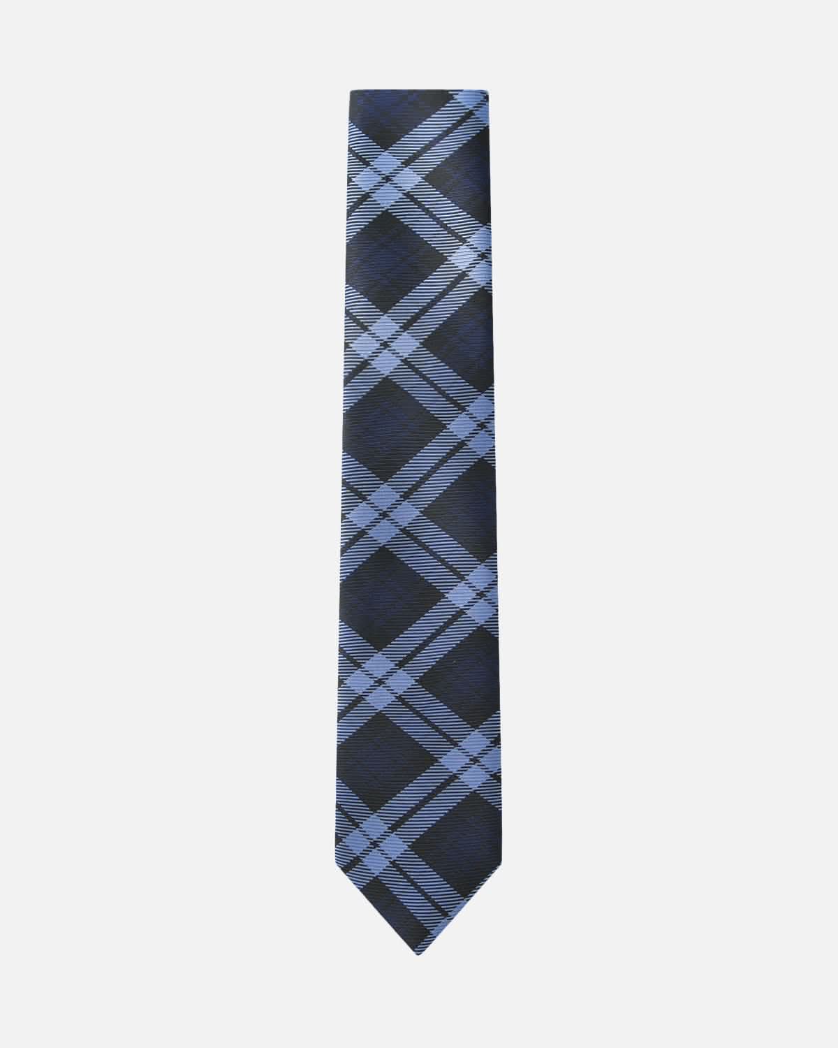 Immortal Powder Blue & Navy Plaid Tie - Blue &