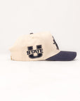 USU Fade Hat Natural Navy