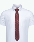 Immortal Maroon Polka-dot Tie - Maroon
